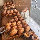 양덕2동새마을문고 | 갑자기 직장인에게 생겨버린 출근 안 하는 6일 보내기