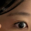 [호주 워홀] D+241 / 나 가을 타나 봐