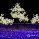 바다의형상 이미지