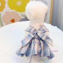 코디애견샵 이미지