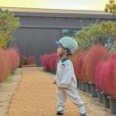 호수로126번길 이미지