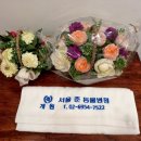 서울준동물병원 이미지