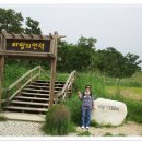 일선목장 Daum카페
