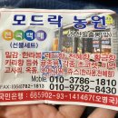 모드락농원 이미지