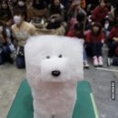 네모강아지 이미지