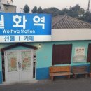 월화거리 이미지