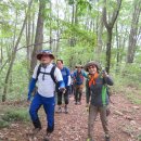 ◈부산백산산악회 제 266차 정기산행: 포항 내연산 향로봉 산행기 ◈(2015. 8. 22) 이미지