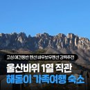 큰바위펜션 | 고성 애견동반 펜션 추천 바우보우 제비꽃방, 델피노급 울산바위뷰 숙소 키로수 추가 없는 반려동물 숙소
