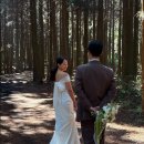 [제주스냅] 웨딩 토탈샵 ‘하이재이제주’ 피팅 및 촬영 후기 (제제플라워/피스피스픽) 📸🕊️