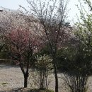 우리꽃캠핑장 이미지