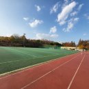 수지체육공원 농구장 | 늦가을 산책하기 좋은 용인 수지체육공원, 운동과 힐링을 동시에 즐기는 공간