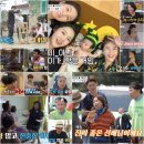 아내의 텃밭 이미지