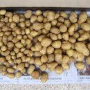 복도농장 이미지