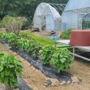 느티울집 이미지