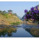 계곡이 있는 풍경 이미지