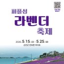 "여기가 세계 최우수 관광마을이라고?"... 보라색 아이템 하나면 무료인 2천만 송이 라벤더 섬 이미지