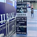 동대문 희귀동물식물박람회 후기 / 파충류행사 / 식물마켓