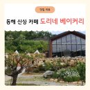 제이에스구름정원 | 동해 신상 카페, 넓은 정원과 캠핑 존이 있는 도리네 베이커리