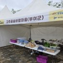 황골장미마을 이미지