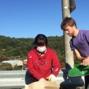 신안갈전마을 이미지