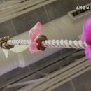 스마일보이짐 쌍문점 이미지