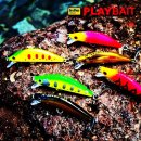 여울쏘가리 이미지