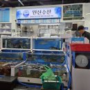 삼척항 이시가리회 (휴가중) 이미지