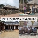 초가장 및 담장장 | [충남/아산] 천안 아산 여행 가볼만한 곳 "외암민속마을" 방문기