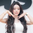 프리지아 이미지