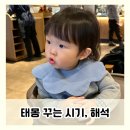 태몽 꾸는 시기, 종류, 아들 딸 성별 해석