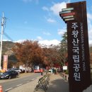 용연공원(도로변) 네이버블로그