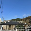 스테이아호이 이미지