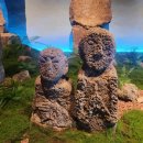 제주돌문화공원 이미지