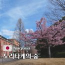 나고야 노리타케의 숲 운영 시간, 월별 휴무일 및 상세 후기