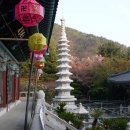 성불사 앞 이미지