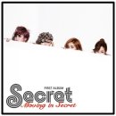 시크릿(SECRET)