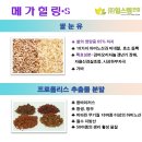 힐스템건강 팽성지점 네이버블로그