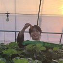 JK농장 이미지