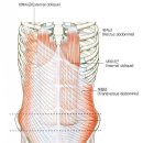 밸류 PT & 필라테스 이미지