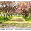 아름드리목장 이미지