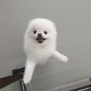 루앤멍