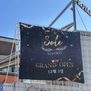 비스트로영 | [비스트로 쏠레] 서울숲역 양식 맛집 / 크리스마스 런치 데이트 후기 / 신상 맛집