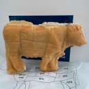 하누앤카누