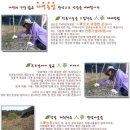 태을당 이미지