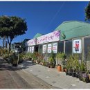 두척동055 이미지