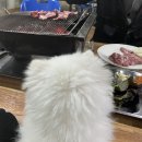 참고기 이미지