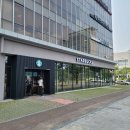 광주시청 | 광주 상무지구 카페 추천: 스타벅스 광주시청점 후기! 분위기&amp;주차여건