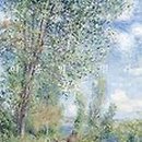 여름빌라 이미지