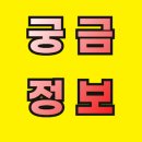 환희농장 | 정직한 농부들의 모임 콜라비 사이트 구경가기