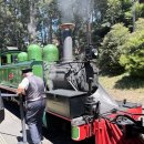 토마스농장 | 호주 멜버른 퍼핑빌리 반나절 투어 후기 줌줌투어 내돈내산 후기